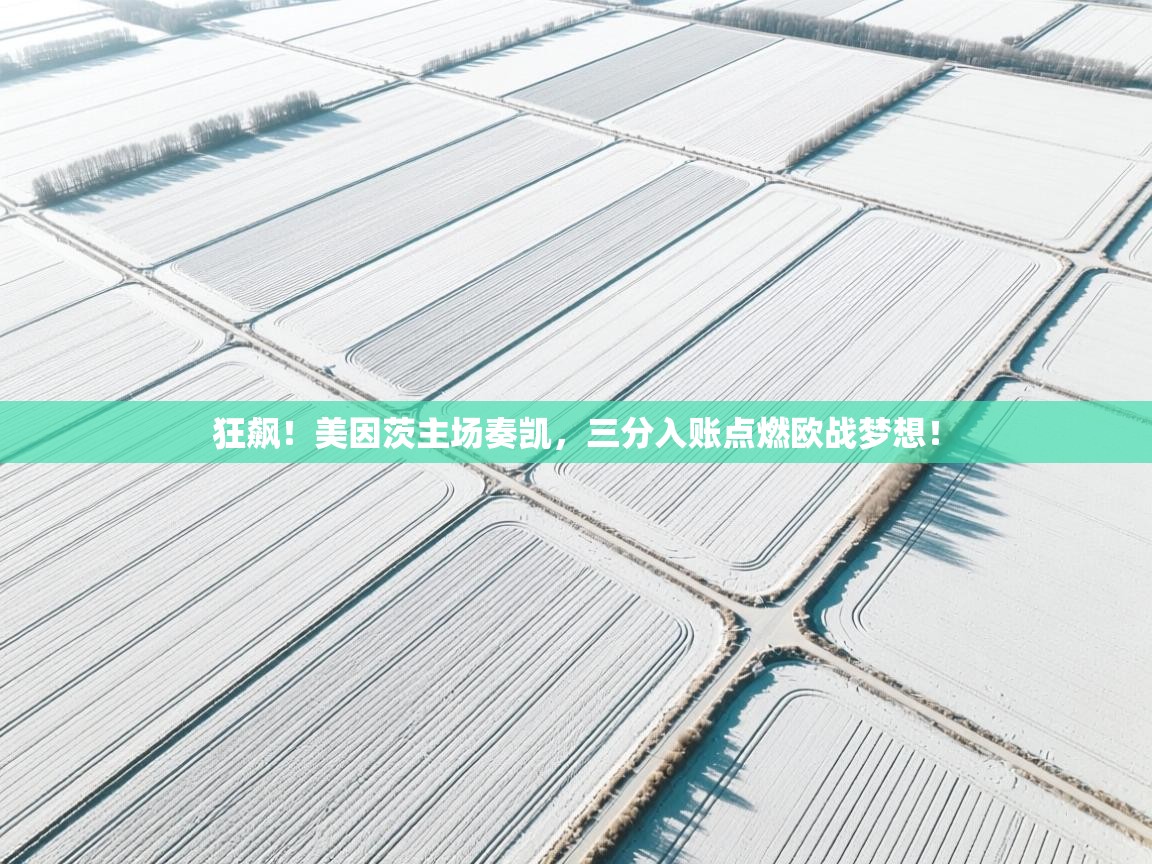 狂飙！美因茨主场奏凯，三分入账点燃欧战梦想！  第2张